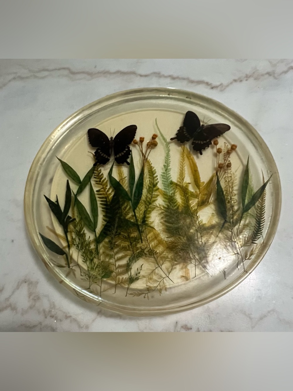 Vintage Mid Century Modern 1970’s  Butterfly Floral Fern Acrylic Lazy Susan